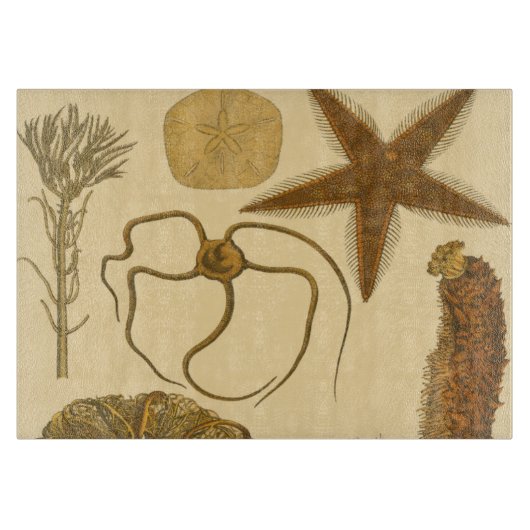 水中海の創造物 カッティングボード (正面)