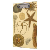 水中海の創造物 クリップボード (左)