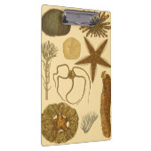 水中海の創造物 クリップボード (右)