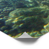 水中海洋生物撮影ポスタープリント ポスター (角)