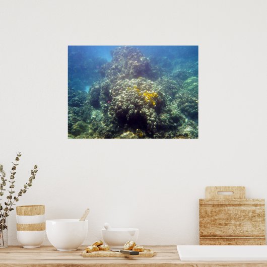 水中海洋生物撮影ポスタープリント ポスター (キッチン)