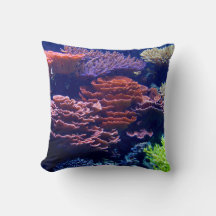 水中海、海生活、画実在像