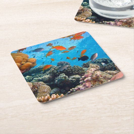 水中熱帯魚のシーン スクエアペーパーコースター (アングル)
