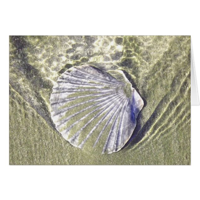 水中牡蠣殻 (正面横)