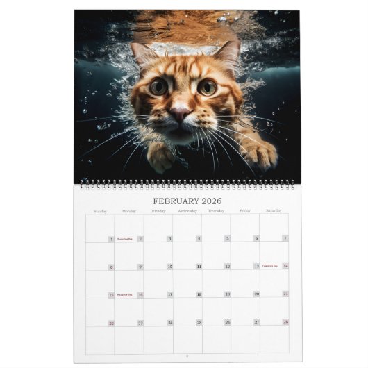 水中猫おもしろい撮影 カレンダー (2月 2026)