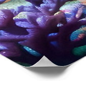 水中王国の城 ポスター (角)