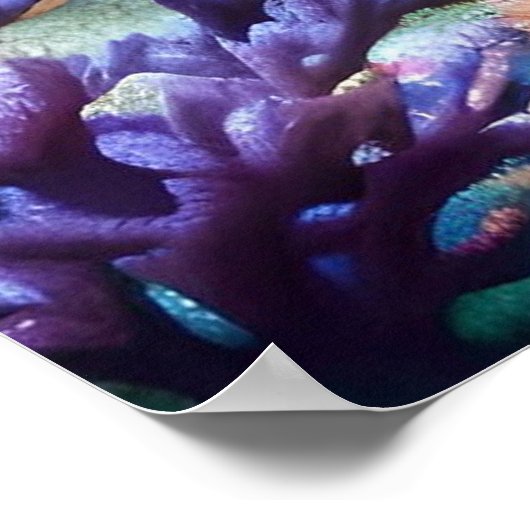 水中王国の城 ポスター (角)