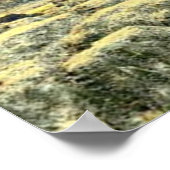 水中生命プリント ポスター (角)