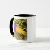 水中生命、魚:  多彩な妖精のBasslet マグカップ (正面左)