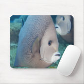 水中生命、魚：灰色のアンジェルフィッシュのペア マウスパッド (マウス)