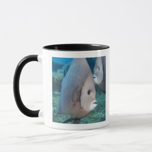 水中生命、魚: 組の灰色のAngelfish マグカップ (左)