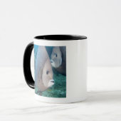 水中生命、魚: 組の灰色のAngelfish マグカップ (正面左)