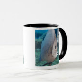 水中生命、魚: 組の灰色のAngelfish マグカップ (正面右)