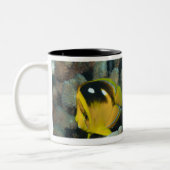 水中生命; 魚:  組のFourspot ツートーンマグカップ (左)