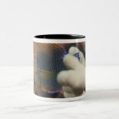 水中生命; 魚: 陶工のポートレート ツートーンマグカップ (中央)
