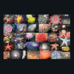 水中生物コラージュ – ファインアートプリント ポスター<br><div class="desc">コラージュ化された多くの種の水中写真のコレクション。</div>