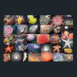 水中生物コラージュ – ファインアートプリント ポスター<br><div class="desc">コラージュ化された多くの種の水中写真のコレクション。</div>