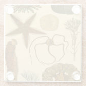 水中生物 ガラスコースター (裏面)