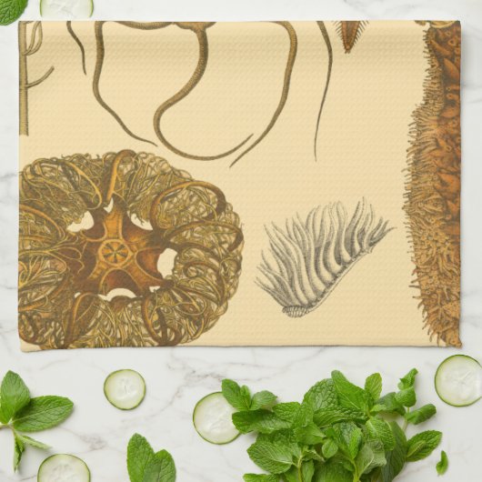 水中生物 キッチンタオル (折り畳み)