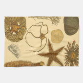 水中生物 キッチンタオル (横)