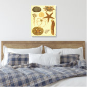 水中生物 キャンバスプリント (インサイチュ (寝室))