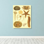 水中生物 キャンバスプリント (インサイチュ (ウッドフロア))