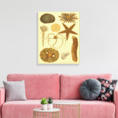 水中生物 キャンバスプリント (インサイチュ (リビング))