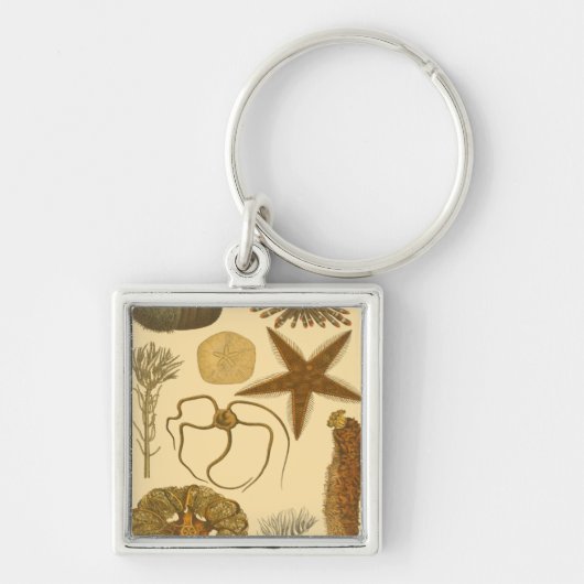 水中生物 キーホルダー (正面)