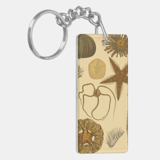 水中生物 キーホルダー (正面左)