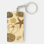 水中生物 キーホルダー (裏面)