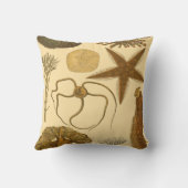 水中生物 クッション (裏面)