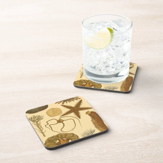 水中生物 コースター (右側)