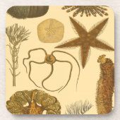 水中生物 コースター (正面)