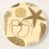 水中生物 コースター (正面)