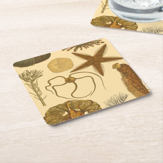 水中生物 スクエアペーパーコースター (アングル)