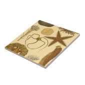 水中生物 タイル (側面)