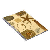 水中生物 ノートブック (右側)