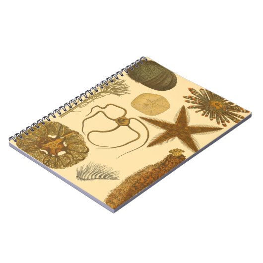 水中生物 ノートブック (左側)