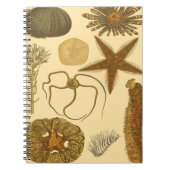 水中生物 ノートブック (正面)