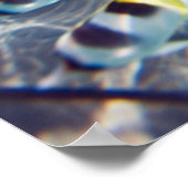 水中生物 ポスター (角)