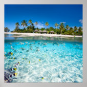 水中生物 ポスター (正面)