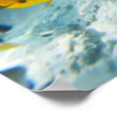 水中生物 ポスター (角)