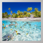 水中生物 ポスター (正面)