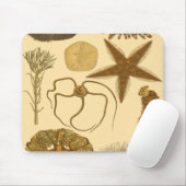 水中生物 マウスパッド (マウス)