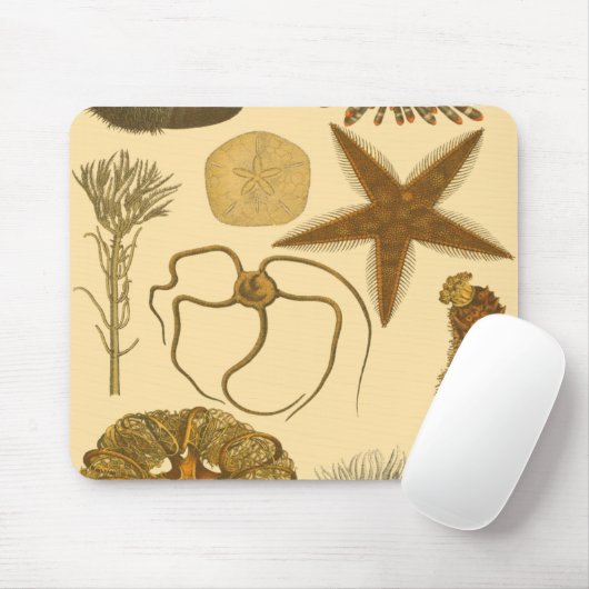 水中生物 マウスパッド (マウス)