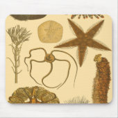 水中生物 マウスパッド (正面)