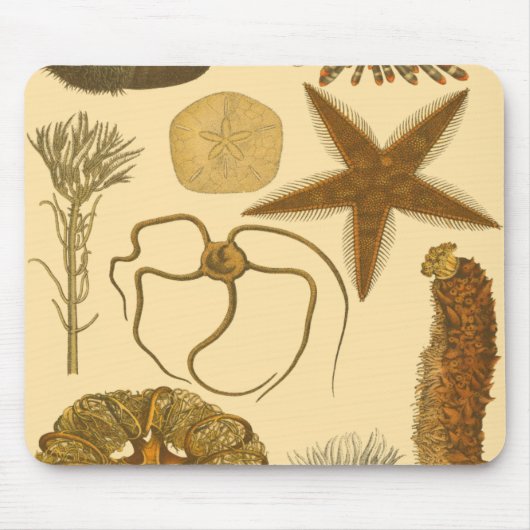 水中生物 マウスパッド (正面)