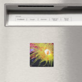 水中生物 マグネット (インサイチュ (食洗機))