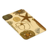 水中生物 マグネット (右側)