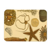 水中生物 マグネット (横)